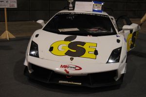 DSC_0252.JPG